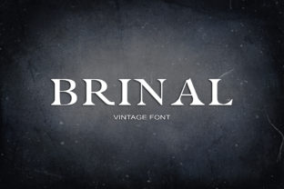 Brinal: A Unique Serif Font with a Playful Look and Feel