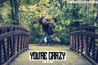 You’re Crazy and You’re Crazy Is a Simple and Casual Sans Serif Font
